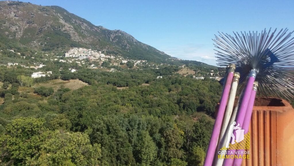 Cannes de ramonage et hérisson dressés au bord d'un toit, village et montagnes en arrière-plan
